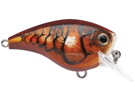 Rapala Balsa Xtreme BX Mid Brat Squarebill Crankbait