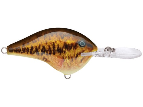 Rapala DT Series Crankbait