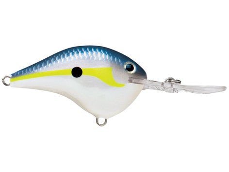 Rapala DT Series Crankbait