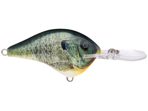 Rapala DT Series Crankbait