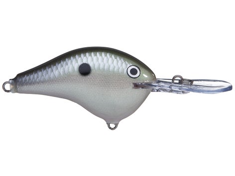 Rapala DT Series Crankbait