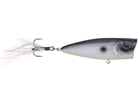 Berkley Bullet Pop Topwater