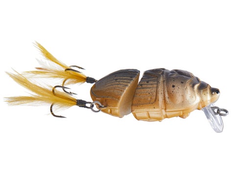 Lunkerhunt Battle Beetle Crankbait